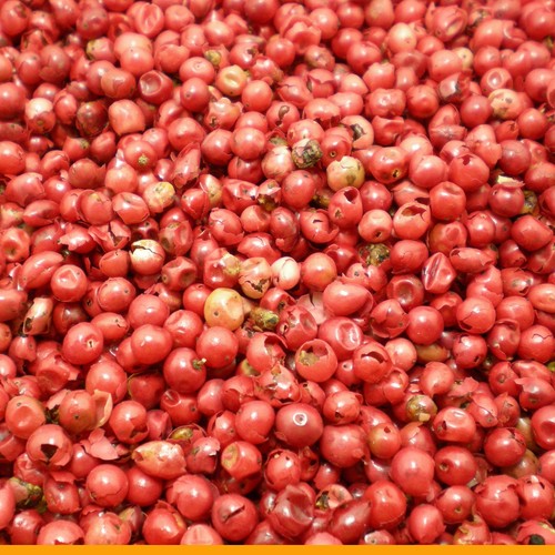 1000g gewürze und - gewürze,